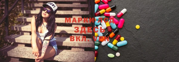 прущий лед Алзамай