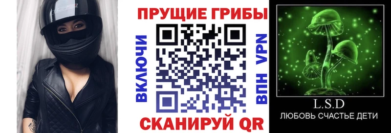 Псилоцибиновые грибы Cubensis  где купить наркоту  ссылка на мегу вход  Анапа 